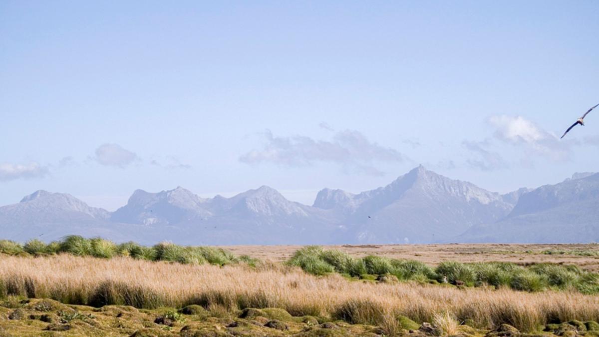 La Isla de los Estados es un ambiente insular subantrtico que est a mitad de camino entre el ambiente casi continental de la Isla de Tierra del Fuego y la Antrtida Foto Archivo